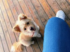 门面-老根农家饭店