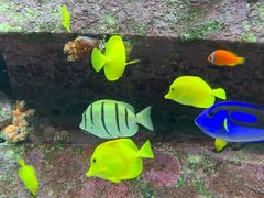 -亚龙湾海底世界