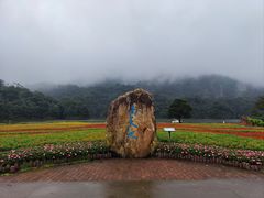 -广州市石门国家森林公园