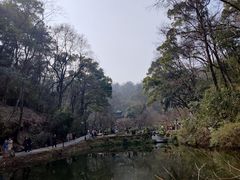 -岳麓山风景名胜区