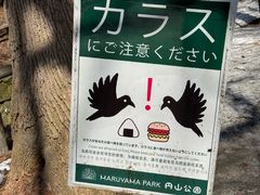-北海道神宫