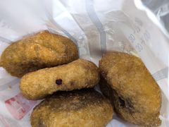 -红专尹胖子油炸糕