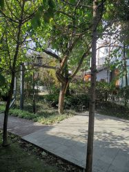 -莲生母婴月子中心(清水河公园店)