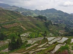 -紫鹊界梯田景区