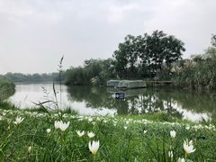 -白鹭湾湿地公园