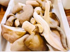 平菇-傣妹火锅(四川北路店)