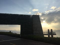 -深圳湾公园-停车场