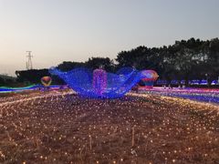 -海上田园