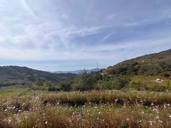 -妙峰山风景名胜区
