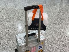 -陈鹏鹏潮汕菜(宝安机场T3航站楼店)