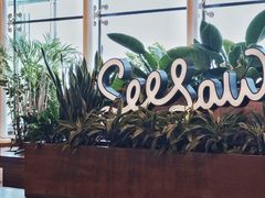 -Seesaw Coffee(朝阳大悦城店)