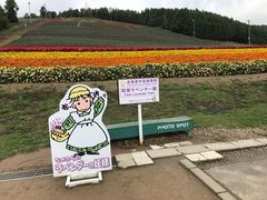 -富田农场