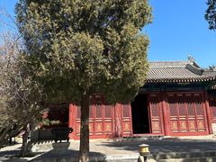 -大钟寺古钟博物馆