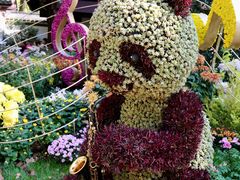 -杭州植物园