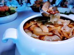 松茸炖花胶-世博源公馆·本帮融合菜·主题包厢·江景餐厅