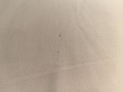 -海悦酒店(白石洲地铁站世界之窗店)