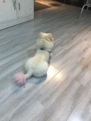 -起点潮色造型