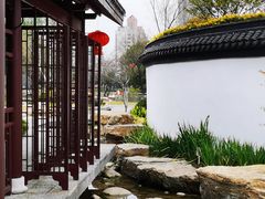 -和平公园