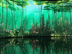 -中国湿地博物馆