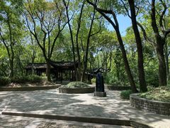 -上海佘山国家森林公园天马山园