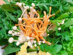 蔬菜拼盘-掂档潮汕牛肉火锅(沈阳万象城店)