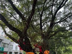 -桂妃御品油茶馆(阳桥店)