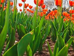 -玄武湖景区-情侣园游乐场