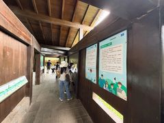 -福田红树林生态公园