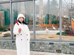 -无锡动物园·太湖欢乐园