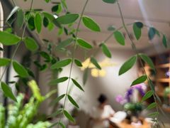 -花神·轻食简餐·咖啡馆·花卉绿植(荷兰花卉小镇店)