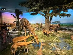 -国家自然博物馆