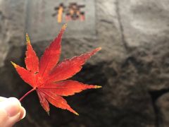 -青岛崂山太清宫