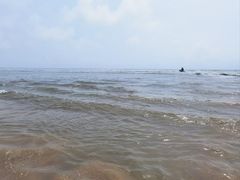 -日照海滨国家森林公园