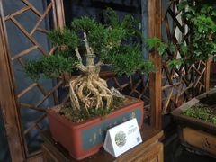 -石家庄市植物园
