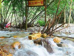 -羚羊峡古栈道森林公园