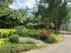 -深圳国际园林花卉博览园