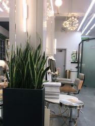 -FUTURE HN男士发型风格设计