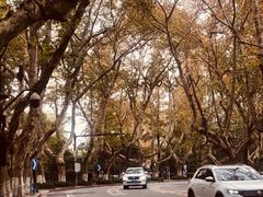 -也枫·小黄楼(南山路旗舰店)