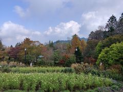 -比叡山