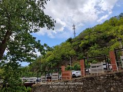 -Local泰莲庭(虹鳟鱼店)