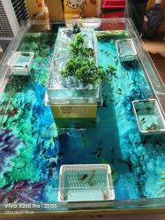 -嘻鸭涂(福田·卓悦汇哈尼彩虹店)