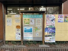 -井之头恩赐公园