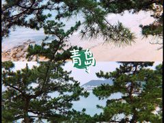 -青岛沙子口国家中心渔港