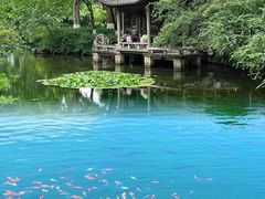 -趵突泉景区