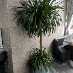 -七分屋LA·烫发·染发·剪发