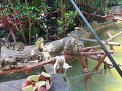 -长鹿旅游休博园