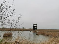 -盐城丹顶鹤湿地生态旅游区