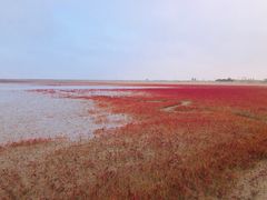-红海滩国家风景廊道