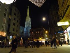 -斯蒂芬主教座堂(Stephansdom)