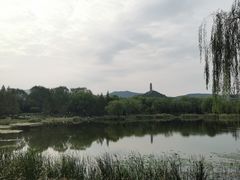 -北坞公园